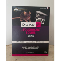 Le foudroyant souris