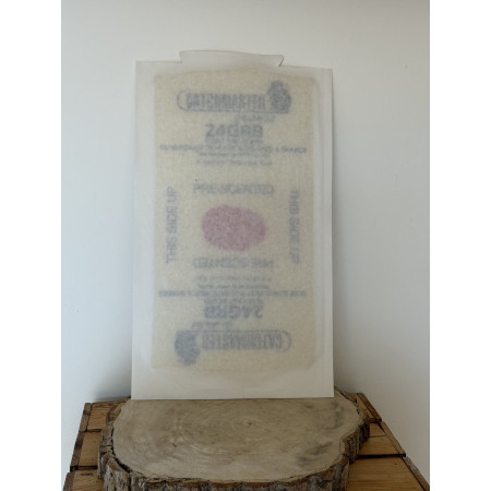 plaque de glu catchmaster