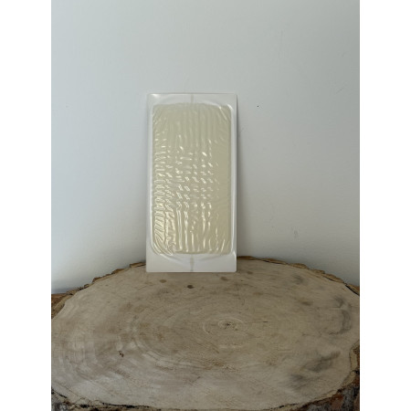 Plaque de glu trapper