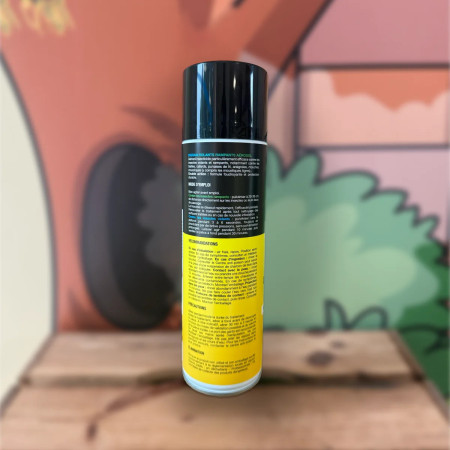 Pictogrammes et mode d'emploi aérosol insecticide Digrain 500 ml — désinsectisation professionnelle, Sarthe 72