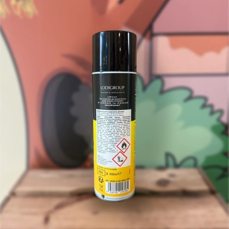 Pictogrammes et mode d'emploi aérosol insecticide Digrain 500 ml — désinsectisation professionnelle, Sarthe 72
