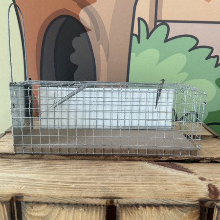 Installation de la nasse à rat Protecta avec appât — piège réutilisable cave garage grenier