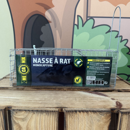 Nasse à rat monocapture Protecta — piège métallique grillagé sans poison, réutilisable