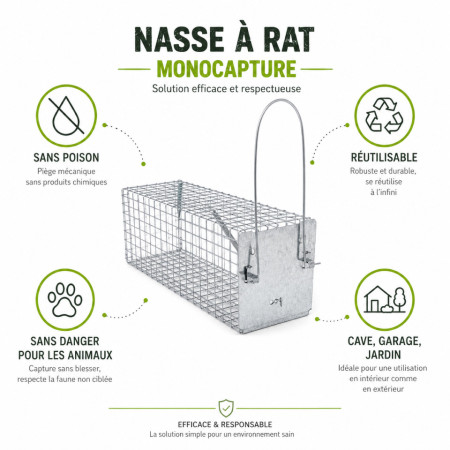 Nasse à rat Protecta installée avec appât dans un local technique — piège métallique sans poison réutilisable