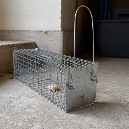 Nasse à rat Protecta installée avec appât dans un local technique — piège métallique sans poison réutilisable