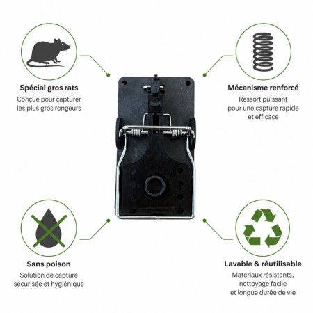 Mécanisme métallique renforcé de la tapette à rat — déclenchement puissant, piège réutilisable sans poison