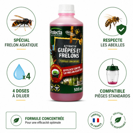 Liquide attractif Protecta guêpes et frelons à diluer — spécial frelon asiatique, sélectif abeilles
