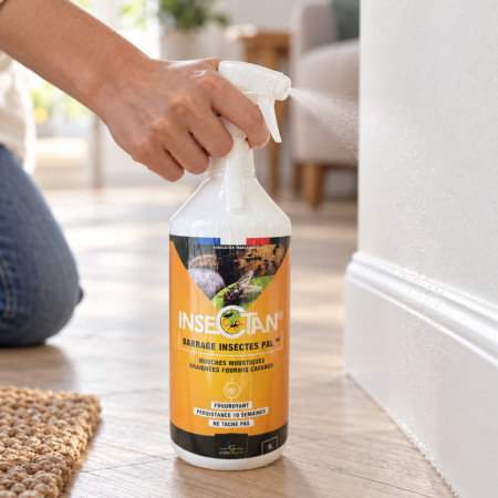 Mode d'emploi spray Insectan 1 L prêt à l'emploi — application sur zones de passage des insectes