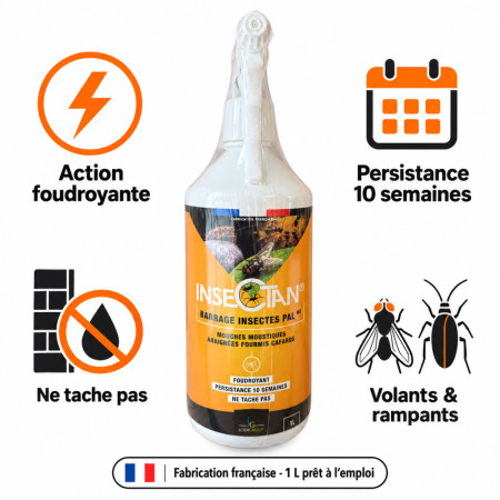 Infographie Insectan 1 L — action foudroyante, persistance 10 semaines, ne tache pas, fabrication française